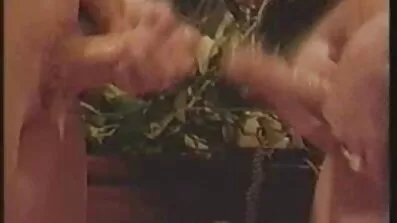 Latenight Kitten ជាមួយសត្វលាធំគឺតែងតែត្រៀមខ្លួនជាស្រេចដើម្បីផ្តល់ឱ្យទៅកាន់ប្រទេសជិតខាងនោះទេ។
