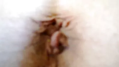 អាលីណា W