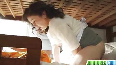 ឆ្មាឈានដល់ចំនុចកំពូលពី handjob មួយ.