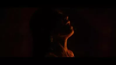 ខ្មៅជល់បានចាកចេញនៅលើ Pussy កាលីផ្កាកុលាបជាដើម។